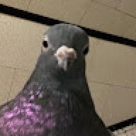 Comekuns