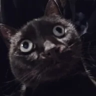 cxsir