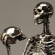 SilverBone