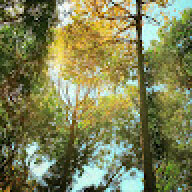 sieucapsv