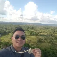 jjcodilan