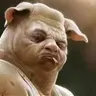Dany Cerdo
