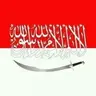 DDRR77