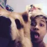 revealthecat4
