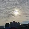 Rvrvrv5226