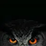 Owlman