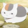 NyankoSensei
