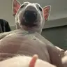 OmegaKiller