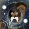 Androsecum mod