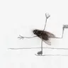 howtobalance