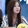 seulgibear