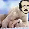 Poelarbear