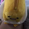bobbylovedog