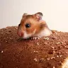 lun130220