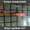 Usull