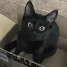 vousmevoyez