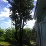 NaoMiki