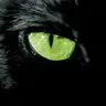 CunC