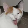 KQy