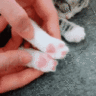 test14