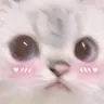 talihiemefb