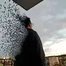 BirdGodz