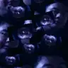 ARAlpha