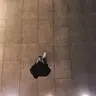 tuntunpn