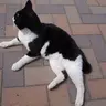 SSS_RRR_SSS