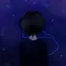Lapse