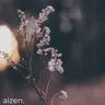 aizenfrst