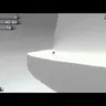 Testus
