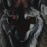 HEKTOR
