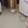 RrrrrAB1