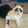 Moonbunny