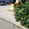 Algerhsd