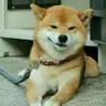 xuou