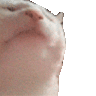 skyz