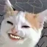 JosephOwie