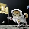 CatsDontHaveMea