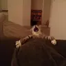 DanBayy