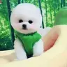ZhijieQi