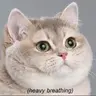 Mencias14
