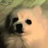 RyanDesire