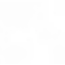 firjlsmcds