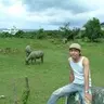 tantogis