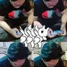 noipro121
