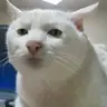 mel