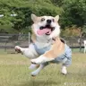 Yirui