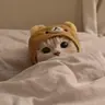 kipi